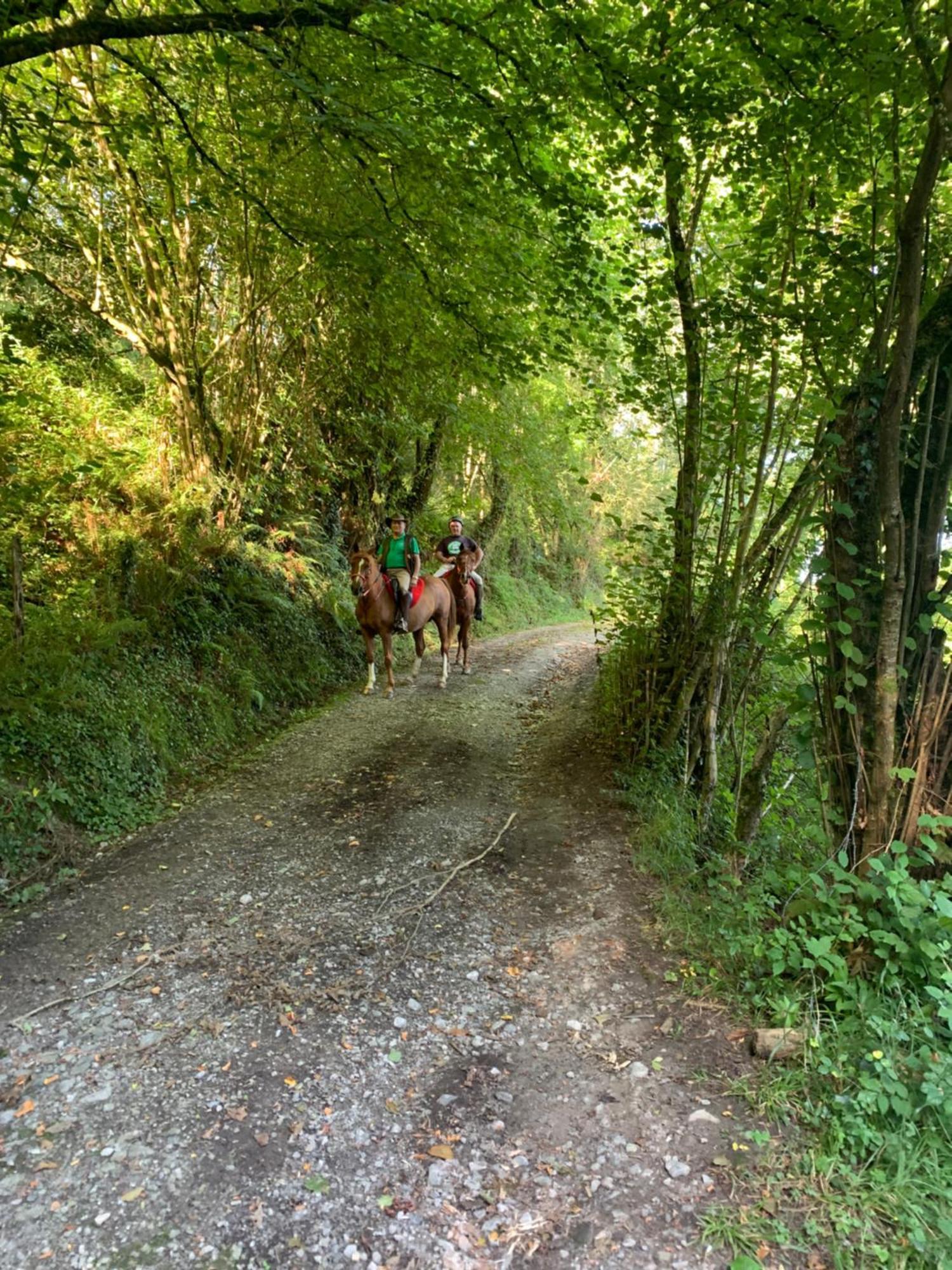 Agroturismo Gure Naia Karrantza Exterior foto
